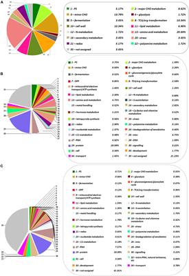 A Multi-Omics Analysis Pipeline for the Metabolic Pathway Reconstruction in the Orphan Species Quercus ilex